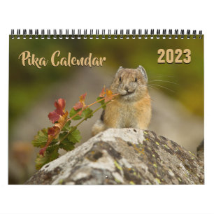 PIka 2023-Kalender Kalender