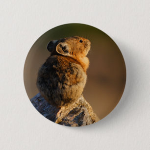 pika button