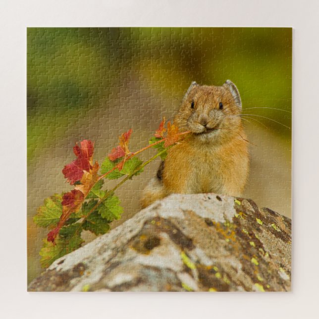 Pika Holding-Blätter im Mund Puzzle (Horizontal)