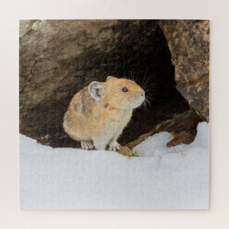 Pika in Schnee Puzzle