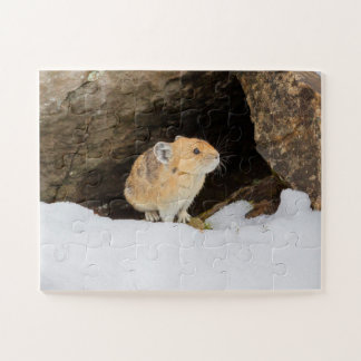 Pika in Snow Puzzle