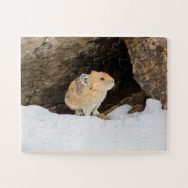 Pika in Snow Puzzle (Horizontal)