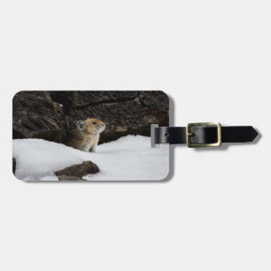 Pika in Snow Tag mit Kontaktinformationen Gepäckanhänger