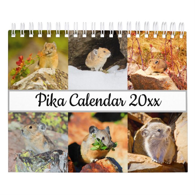 Pika Kalender (Titelbild)