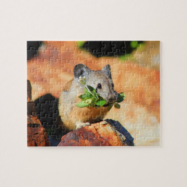 Pika kauend auf Pflanze Puzzle (Horizontal)
