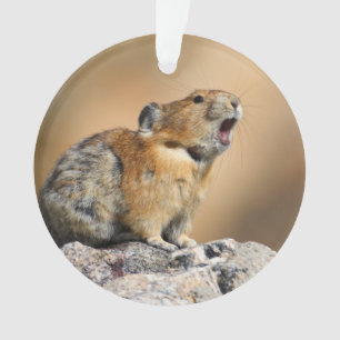 Pika Ornament