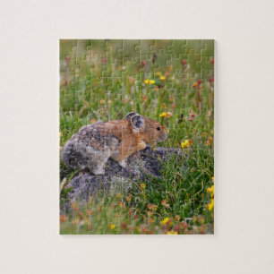 pika puzzle