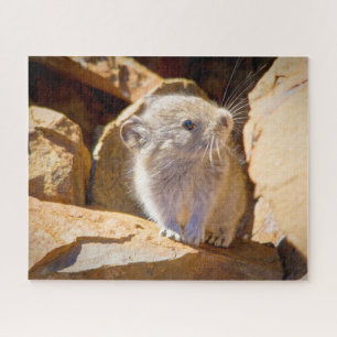 Pika Puzzle