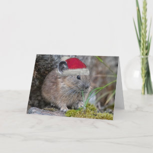 Pika Weihnachtskarte Karte