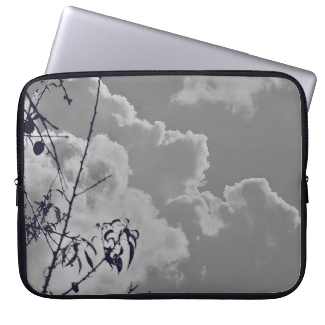 Pikade Laptopschutzhülle (Vorderseite)