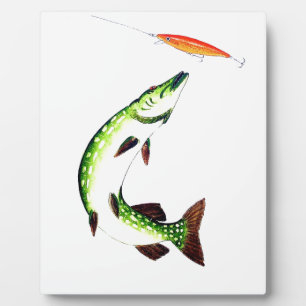 Pike fishing and fly fishing fotoplatte