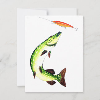 Pike fishing and fly fishing postkarte