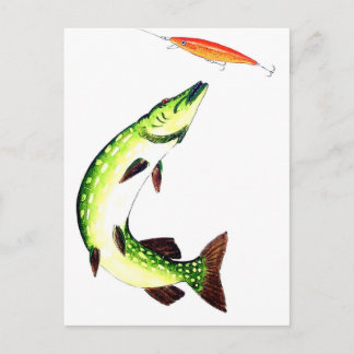 Pike fishing and fly fishing postkarte