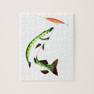 Pike fishing and fly fishing puzzle