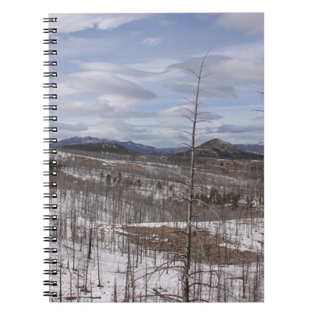 Pike National Forest Notizblock (Vorderseite)