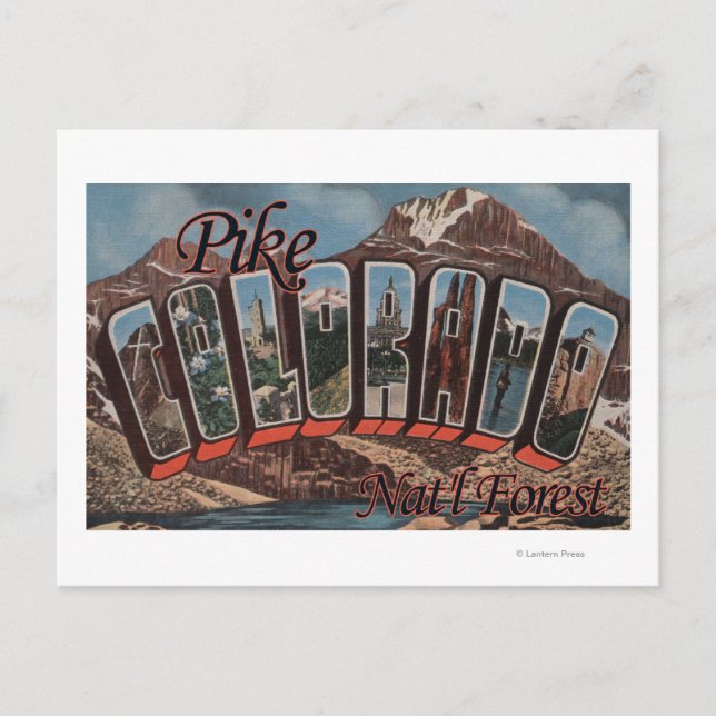 Pike Nat'l Forest, Colorado - Große Buchstabenszen Postkarte (Vorderseite)