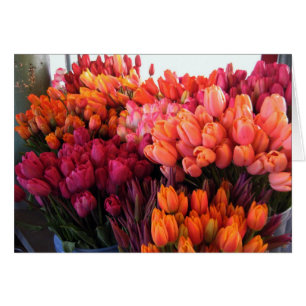 Pike-Platz-Tulpe-Karte
