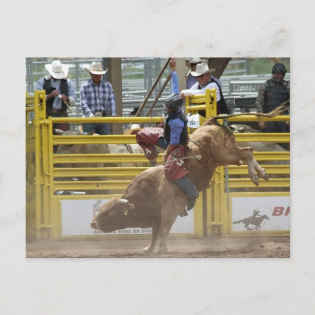 Pikes Peak oder Bust Rodeo Postkarte (Vorderseite)