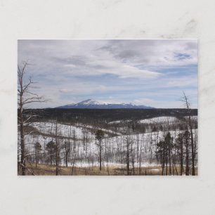 Pike's Peak Postcard Postkarte