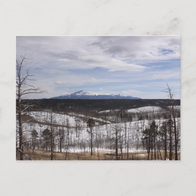 Pike's Peak Postcard Postkarte (Vorderseite)