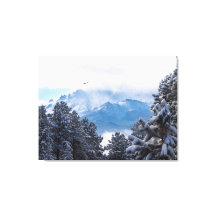 Pikes Peak und ein fliegender Adler nach einem Sch