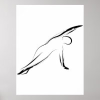 Pilates-Pose
