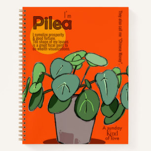 Pilea Notizbuch