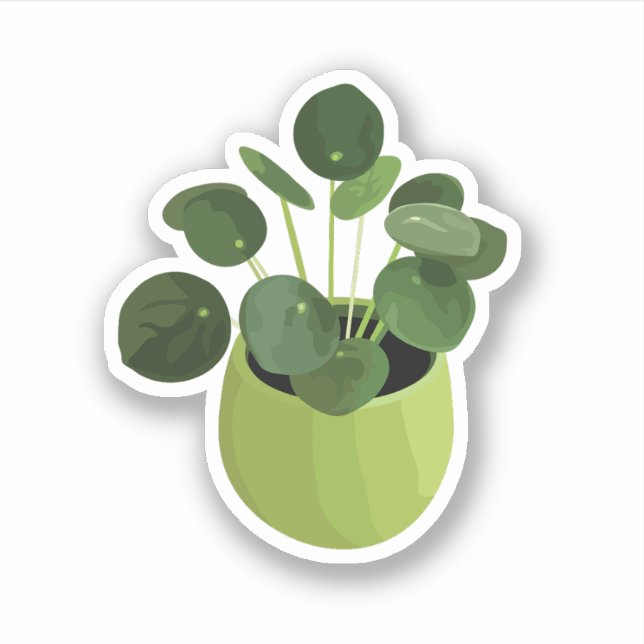 Pilea Peperomioides House Pflanze Sticker (Vorderseite)