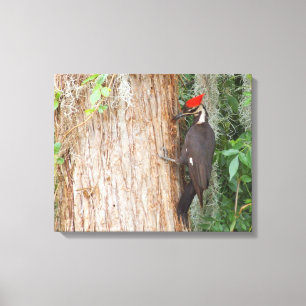 Pileated Specht auf Leinwand