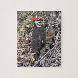 Pileated Specht, der Puzzlespiel Pecking ist Puzzle