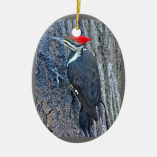 Pileated Specht-frohe Weihnacht-Verzierung Keramik Ornament
