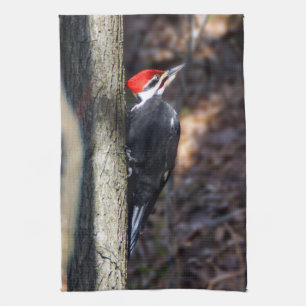 Pileated Specht-Geschirrtuch Geschirrtuch