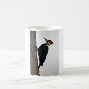 pileated Specht Kaffeetasse