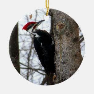 Pileated Specht Keramikornament