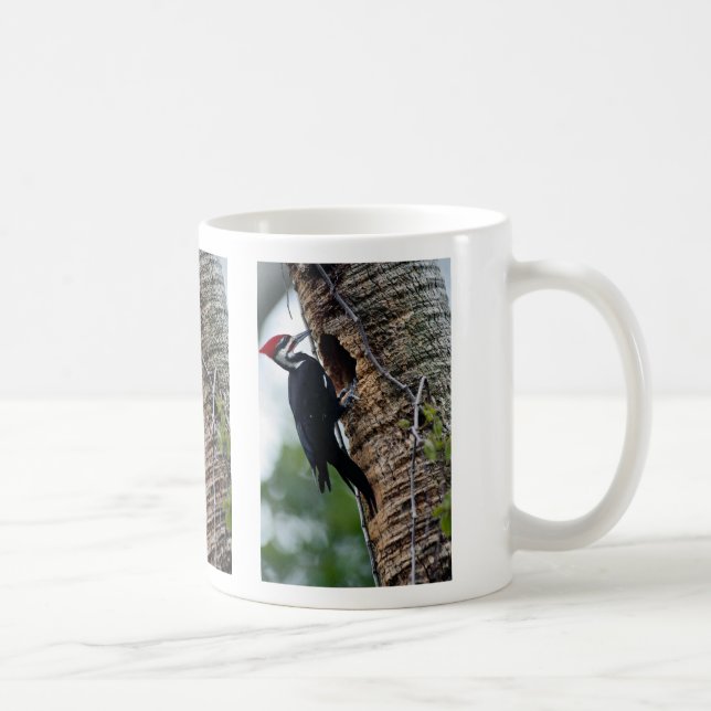 Pileated Specht Tasse (Rechts)