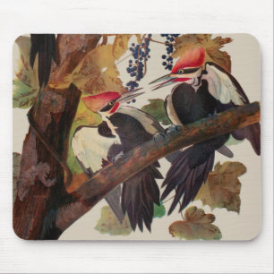 Pileated Woodpecker Audubon Bird Wildlife Painting Mousepad