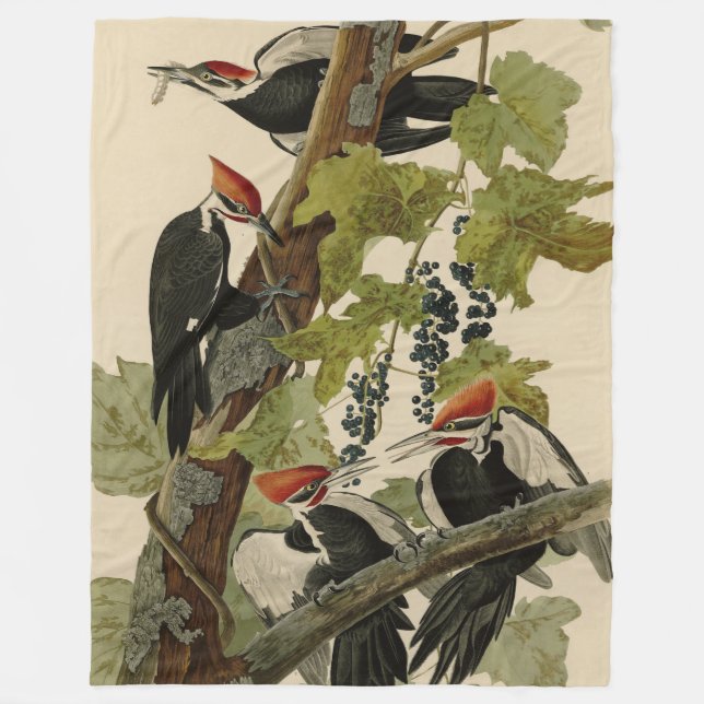 Pileated Woodpecker from Audubon Birds of America Fleecedecke (Vorderseite)
