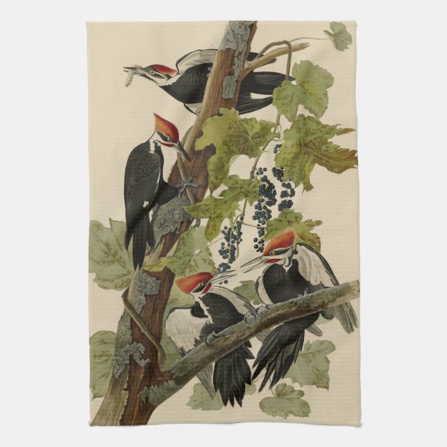 Pileated Woodpecker from Audubon Birds of America Geschirrtuch (Vertikal)