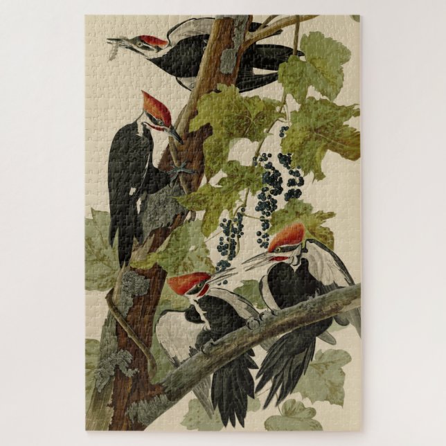 Pileated Woodpecker from Audubon Birds of America Puzzle (Vertikal)