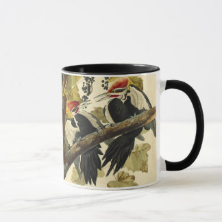 Pileated Woodpecker, John James Audubon Tasse