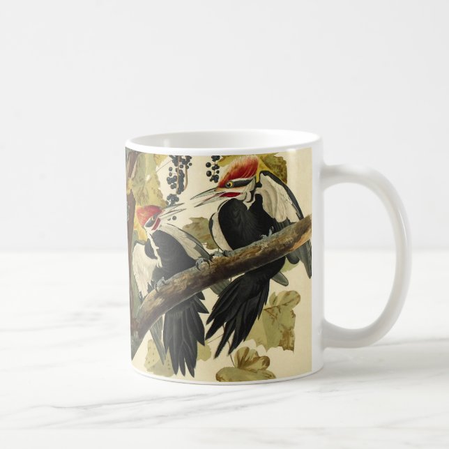 Pileated Woodpecker, John James Audubon Tasse (Rechts)