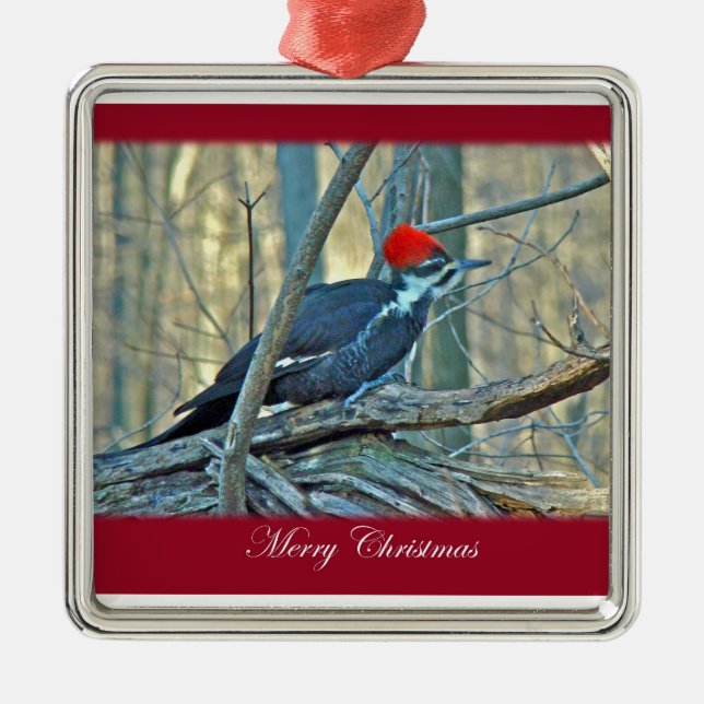 Pileated Woodpecker Merry Silbernes Ornament (Vorne)