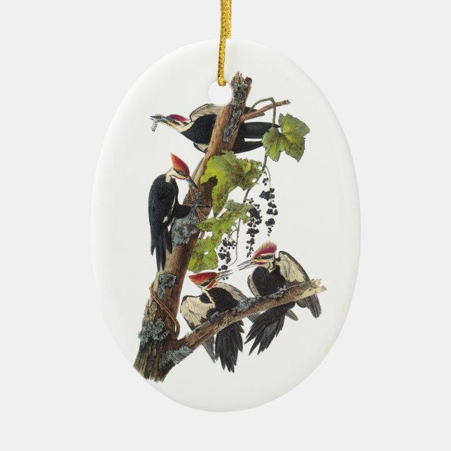 Pileated Woodpecker von Audubon Keramikornament (Vorne)