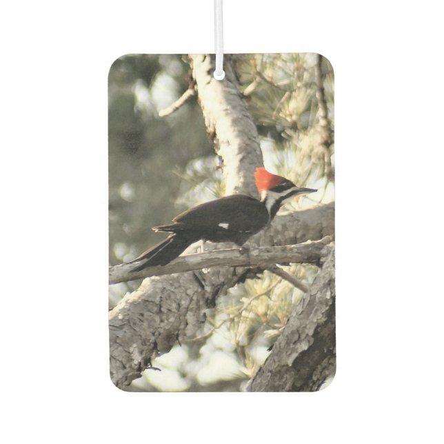 Pileiertes Woodpecker Air Freshener Autolufterfrischer (Vorderseite)