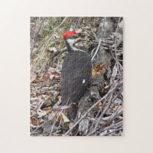 Piletiertes Woodpecker Puzzle