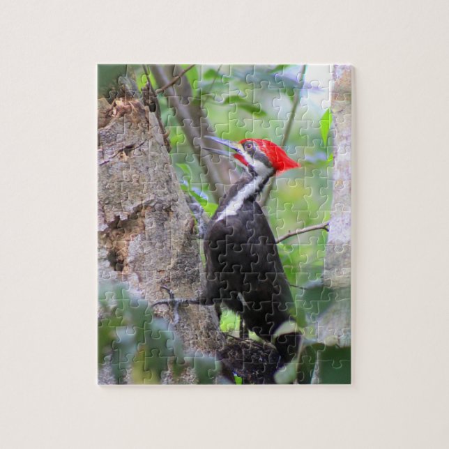 Piletiertes Woodpecker Puzzle (Vertikal)