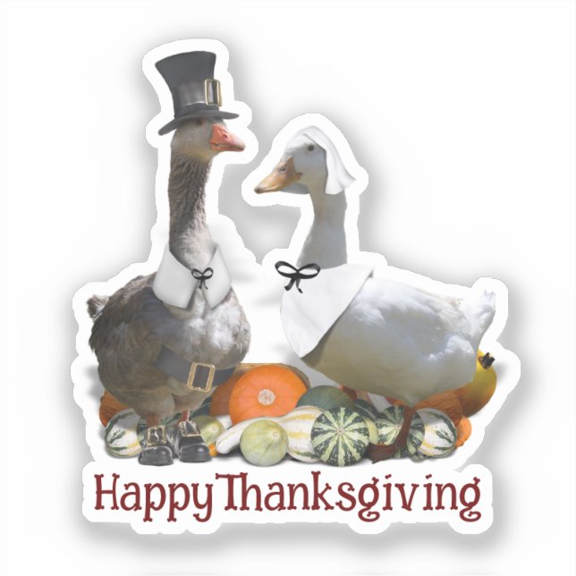 Pilgrim Goose Duck Thanksgiving  Aufkleber (Vorderseite)