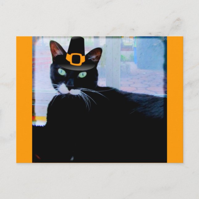 Pilgrim Lucy Postkarte (Vorderseite)