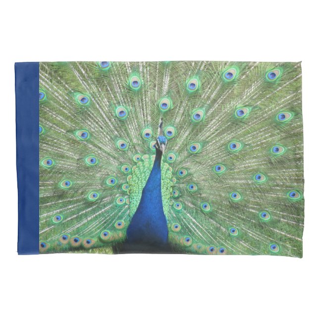 Pillow Hüllen - Proud Peacock Kissenbezug (Vorderseite)