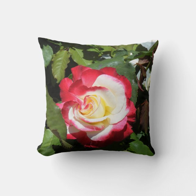 Pillow mit Rot gespitzter herrlicher Kissen (Vorderseite)